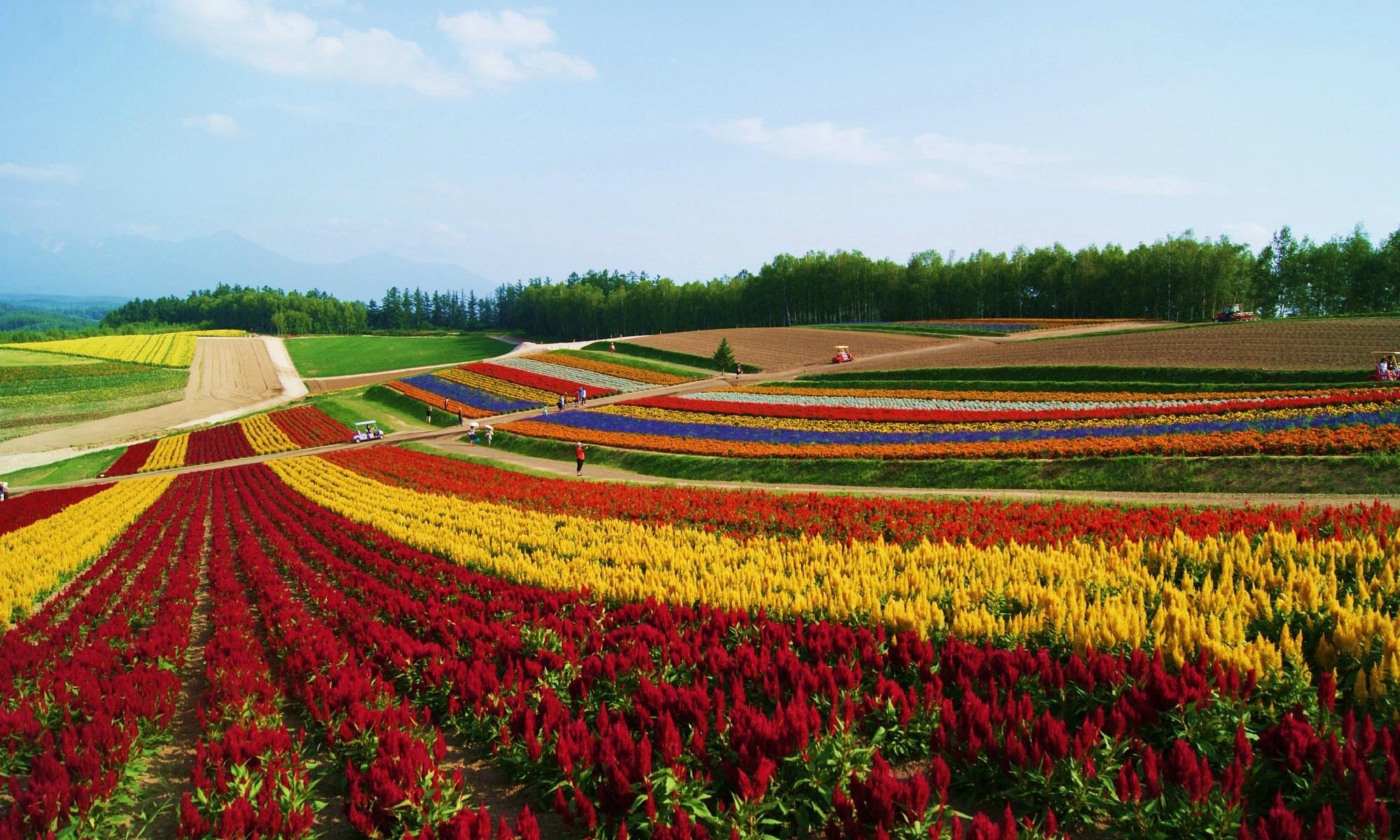 Tohoku & Hokkaido Shinkansen